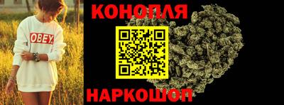 гашик Кинель