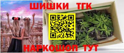 mdpv Кингисепп