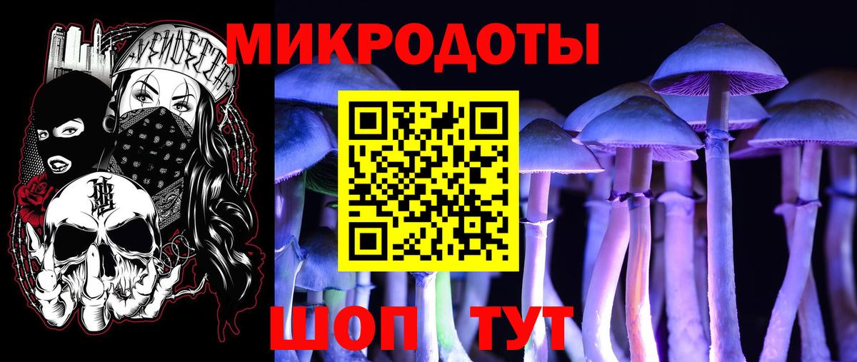 Галлюциногенные грибы мицелий Коряжма
